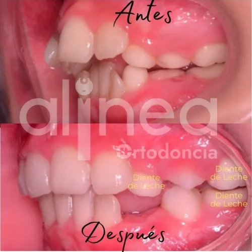 FOTOS-WEB2 (1)
